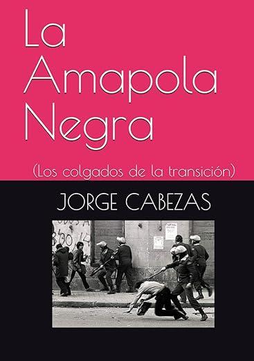 nsc 212 La Segunda Transición